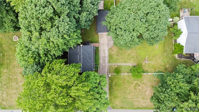 255 S 2nd St, Lewiston, NY 14092 - photo 24