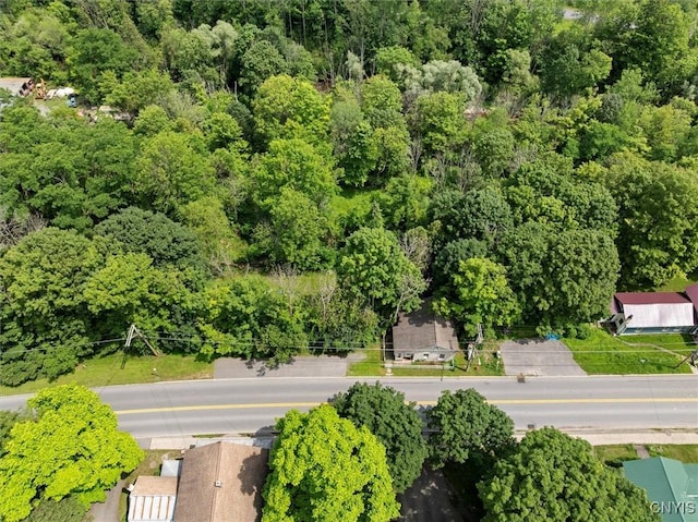138 N Main St, Augusta, NY 13425 - photo 34