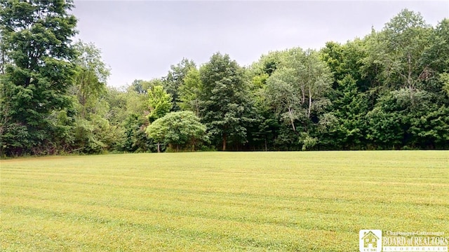 123 Water St, Carroll, NY 14738 - photo 42