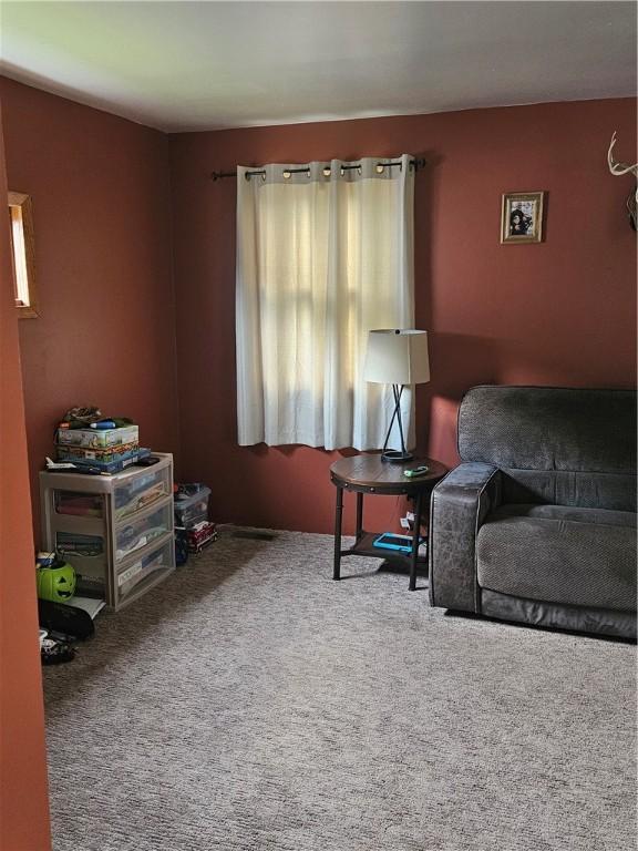 53 Chestnut Ave, North Dansville, NY 14437 - photo 20