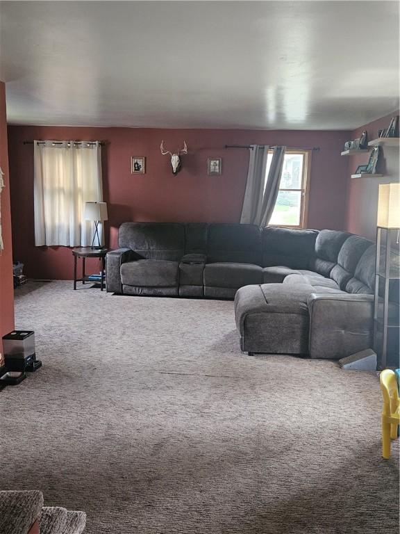 53 Chestnut Ave, North Dansville, NY 14437 - photo 21