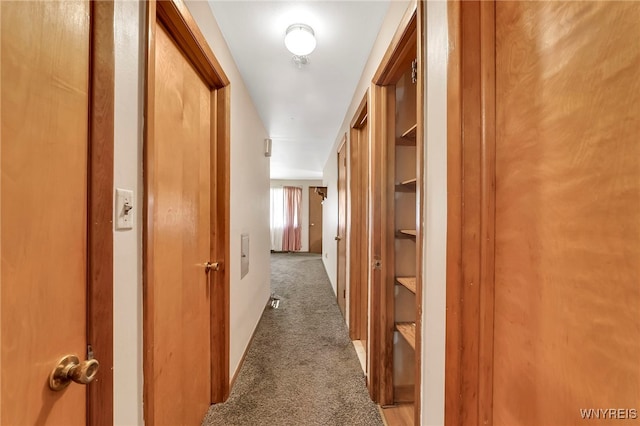 85 Pacific Ave, Lackawanna, NY 14218 - hall featuring carpet flooring