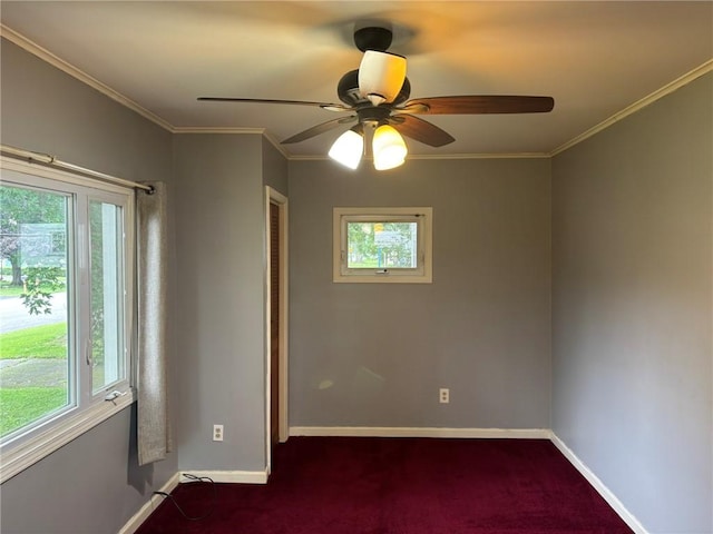 26 Chestnut Ridge Rd, Chili, NY 14624 - photo 6