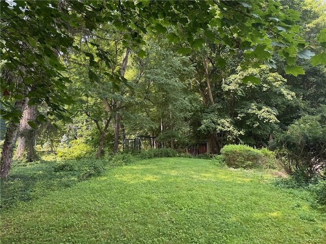N Landing Rd, Brighton, NY 14625 - photo 3