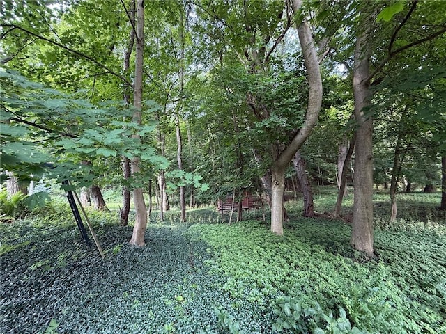 N Landing Rd, Brighton, NY 14625 - photo 6