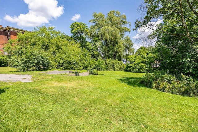 31 Genesee St, Geneva City, NY 14456 - photo 6