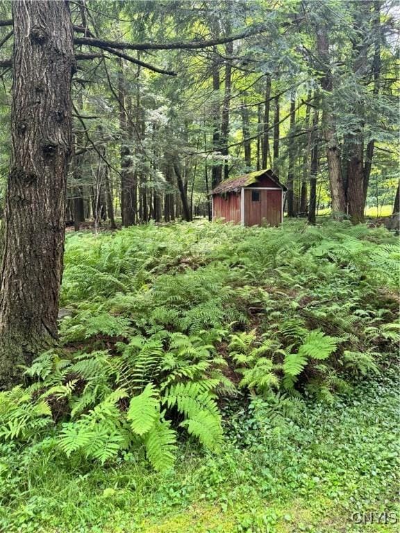 11224 Countryman Rd, Remsen, NY 13438 - photo 2