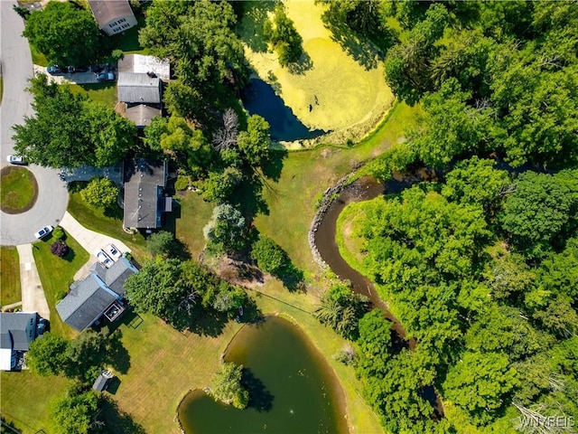 73 Eaglebrook Dr, Orchard Park, NY 14224 - drone / aerial view of a nearby body of water