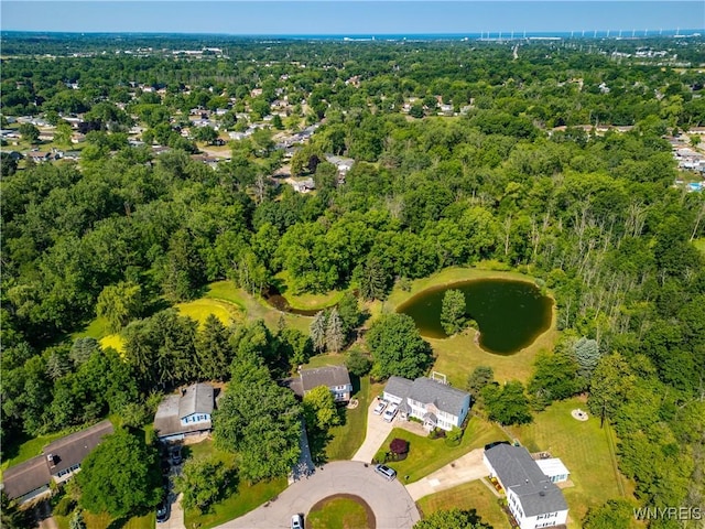 73 Eaglebrook Dr, Orchard Park, NY 14224 - aerial view of property's location with a nearby body of water