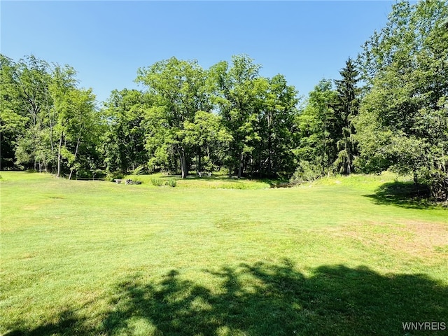 73 Eaglebrook Dr, Orchard Park, NY 14224 - view of green lawn