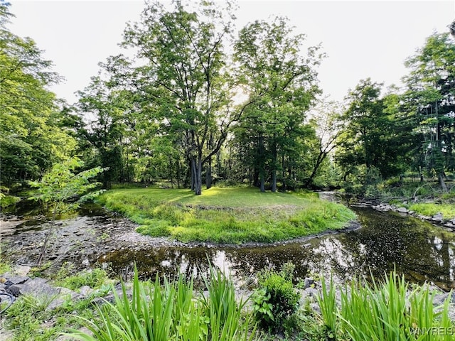 73 Eaglebrook Dr, Orchard Park, NY 14224 - view of yard