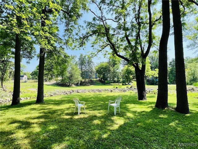 73 Eaglebrook Dr, Orchard Park, NY 14224 - view of home's community with a yard