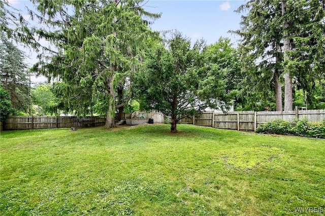 7017 Quaker Rd, Orchard Park, NY 14127 - photo 31