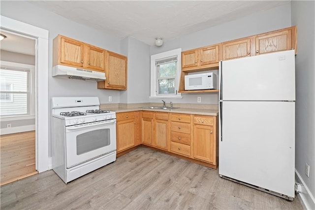 174 Barton St, Rochester, NY 14611 - photo 17