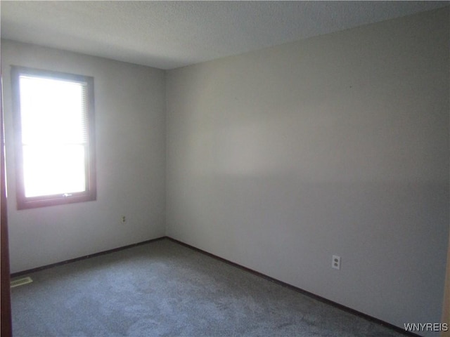 131 Tim Tam, West Seneca, NY 14224 - photo 17
