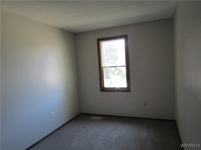 131 Tim Tam, West Seneca, NY 14224 - photo 18