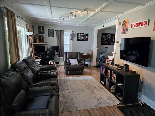 262 E 3rd St, Corning City, NY 14830 - living area featuring wood finished floors, plenty of natural light, and coffered ceiling