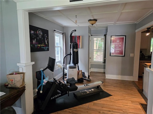 262 E 3rd St, Corning City, NY 14830 - workout room featuring coffered ceiling, wood finished floors, healthy amount of natural light, and crown molding