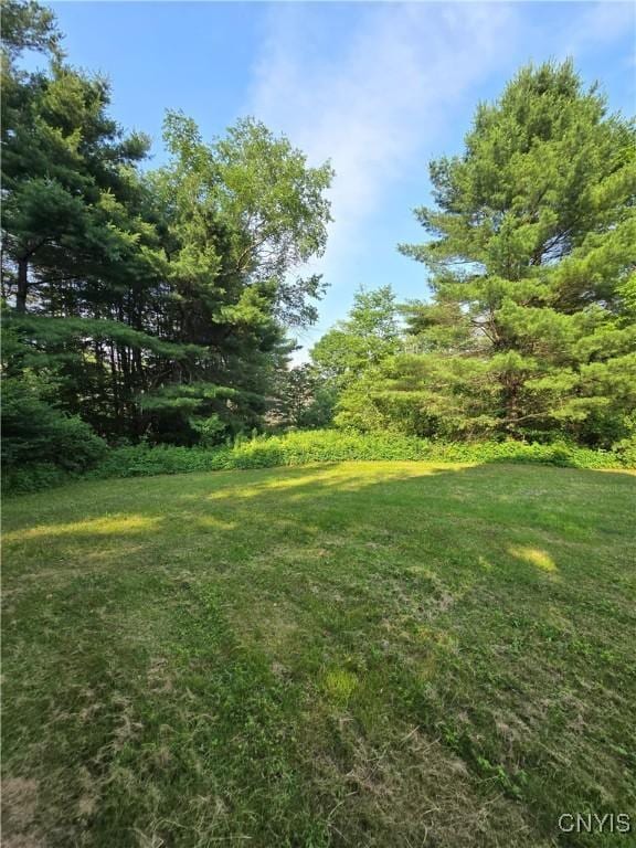 633 Emmonsburg Rd, Salisbury, NY 13454 - photo 21