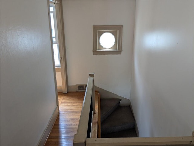 175 Field St, Rochester, NY 14620 - photo 11