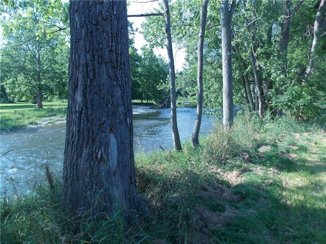 5541 County Route 125, Campbell, NY 14821 - photo 8