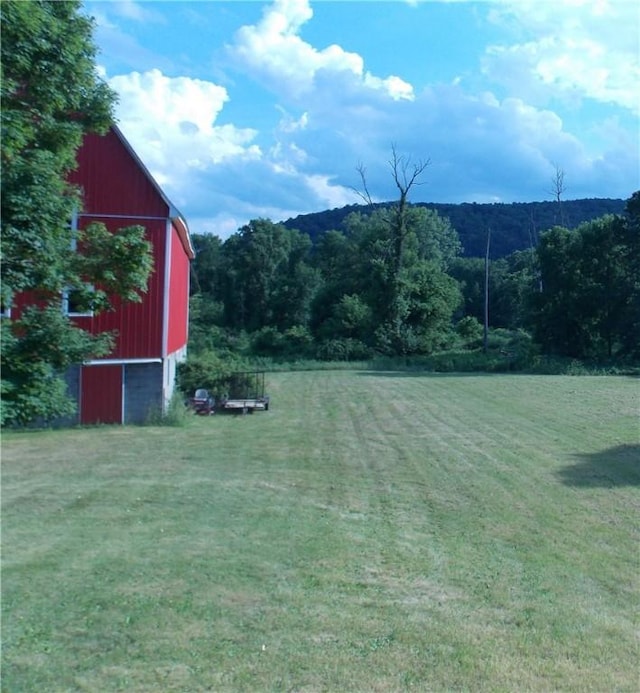 5541 County Route 125, Campbell, NY 14821 - photo 50