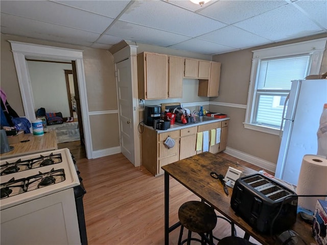 179-181 Field St, Rochester, NY 14620 - photo 21