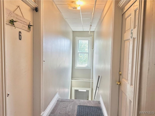 338 Auburn Ave, Buffalo, NY 14213 - photo 6