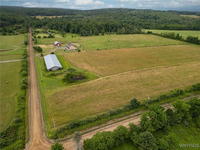 9285 Glinderman Rd, Caneadea, NY 14735 - photo 5