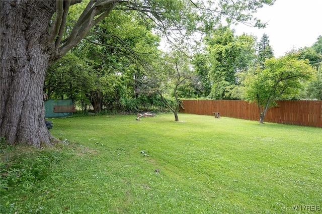 120 Maple Ave, Hamburg, NY 14219 - photo 29