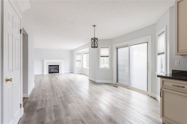 20 Parr Cir, Irondequoit, NY 14617 - unfurnished living room with light wood-style flooring and a glass covered fireplace