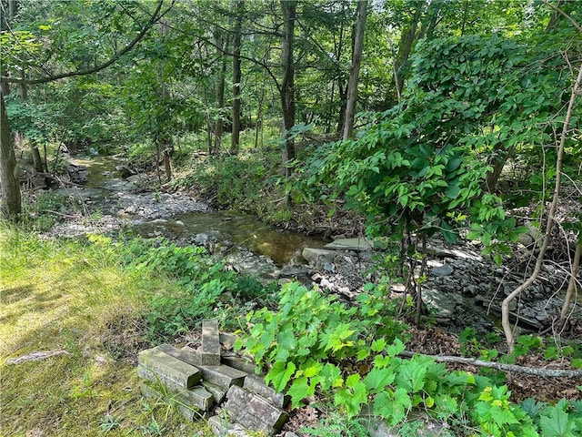 3265 Reading Rd, Reading, NY 14891 - view of nature