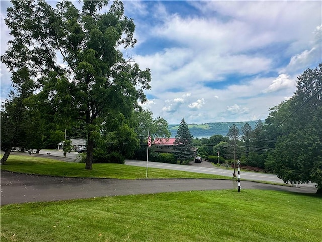 3265 Reading Rd, Reading, NY 14891 - view of asphalt road