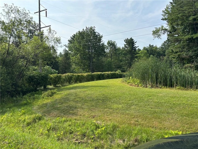 145 Elm Dr, Bainbridge, NY 13733 - photo 6