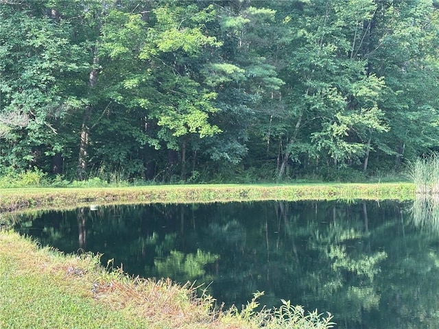 145 Elm Dr, Bainbridge, NY 13733 - photo 32