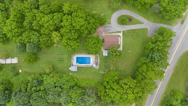9330 Big Tree Rd, Richmond, NY 14466 - photo 36