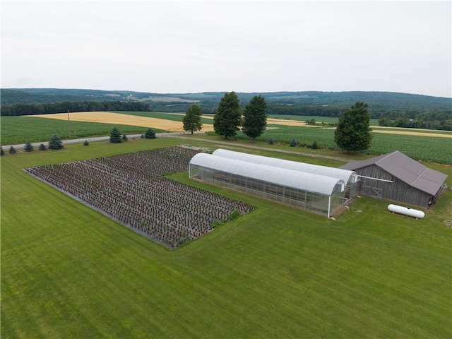 10131 Runyon Rd, Ossian, NY 14437 - photo 3