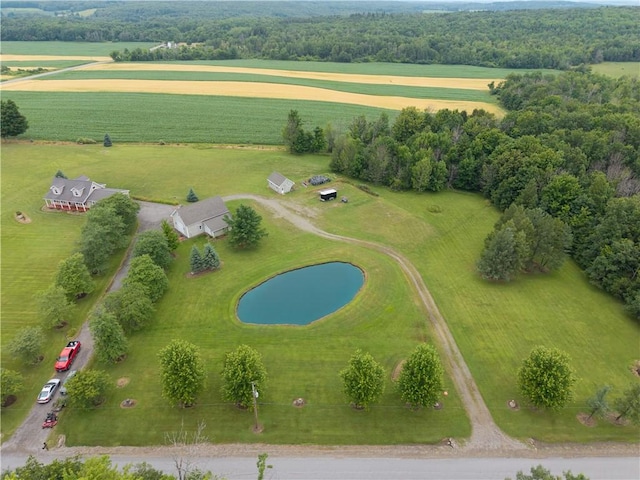 10131 Runyon Rd, Ossian, NY 14437 - photo 6