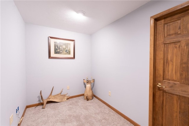 10131 Runyon Rd, Ossian, NY 14437 - photo 34