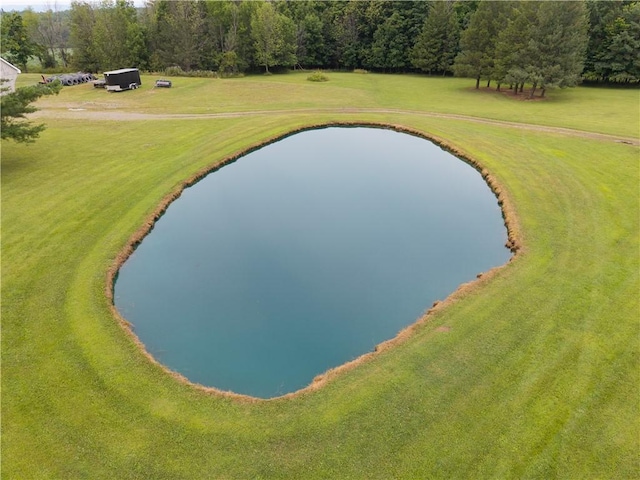 10131 Runyon Rd, Ossian, NY 14437 - photo 39