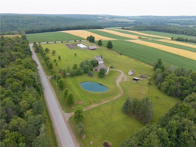 10131 Runyon Rd, Ossian, NY 14437 - photo 47