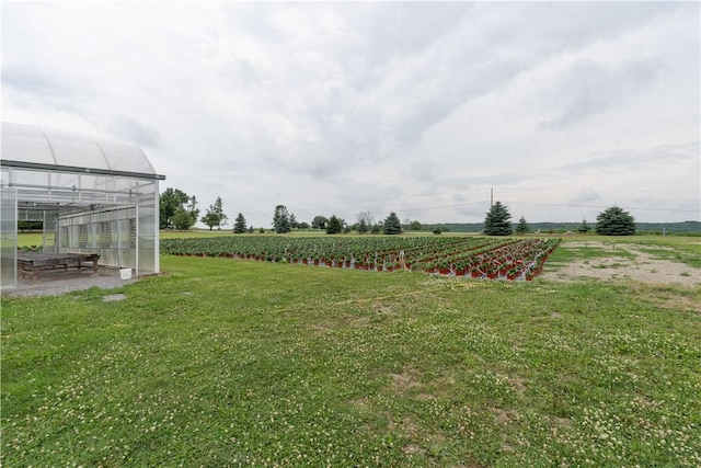 10131 Runyon Rd, Ossian, NY 14437 - photo 45