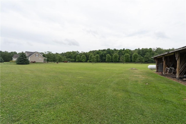 10131 Runyon Rd, Ossian, NY 14437 - photo 49