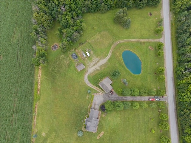 10131 Runyon Rd, Ossian, NY 14437 - photo 50