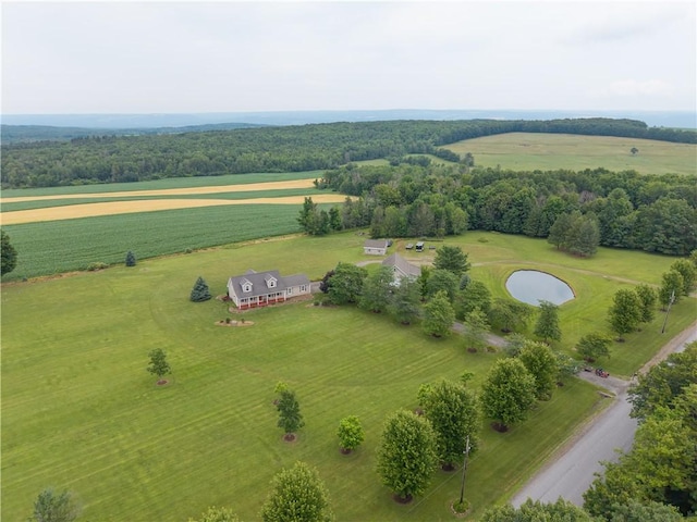 10131 Runyon Rd, Ossian, NY 14437 - photo 48