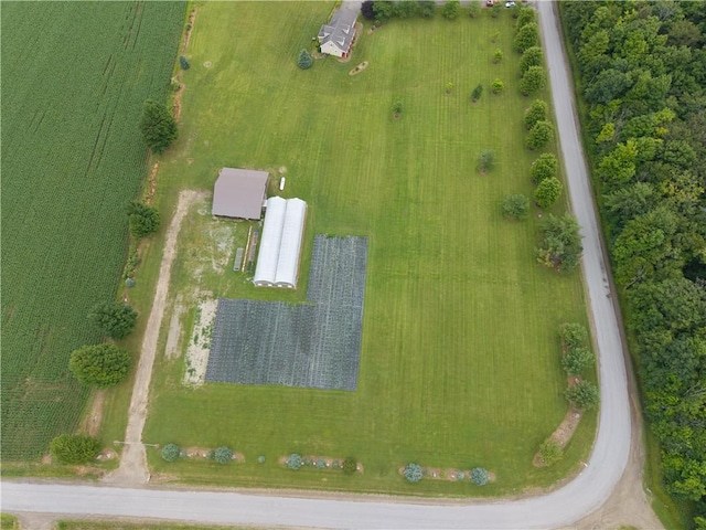 10131 Runyon Rd, Ossian, NY 14437 - photo 46