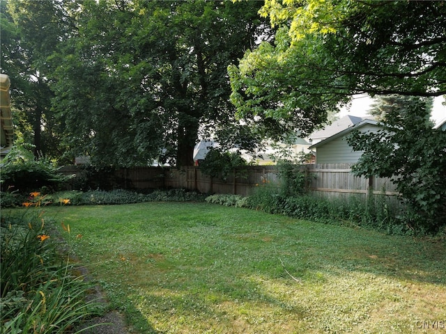 1127 Academy St, Watertown City, NY 13601 - photo 25