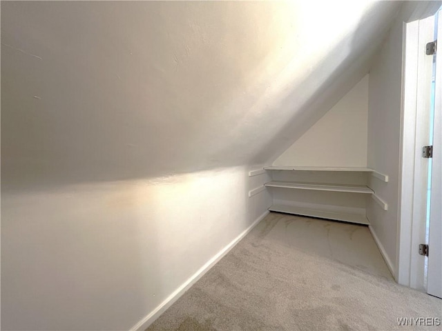 42 Argus St, Buffalo, NY 14207 - bonus room with carpet and vaulted ceiling