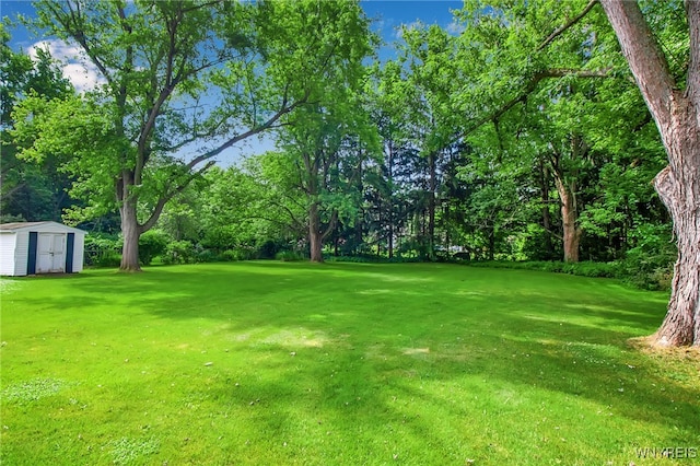 6599 Jewett Holmwood Rd, Orchard Park, NY 14127 - photo 42
