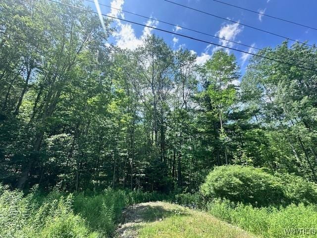 8546 Seneca Way, Caneadea, NY 14717 - photo 4